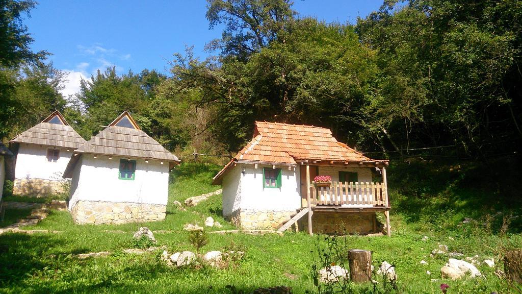 Camp Divlja Rijeka Hotel Hum Kültér fotó